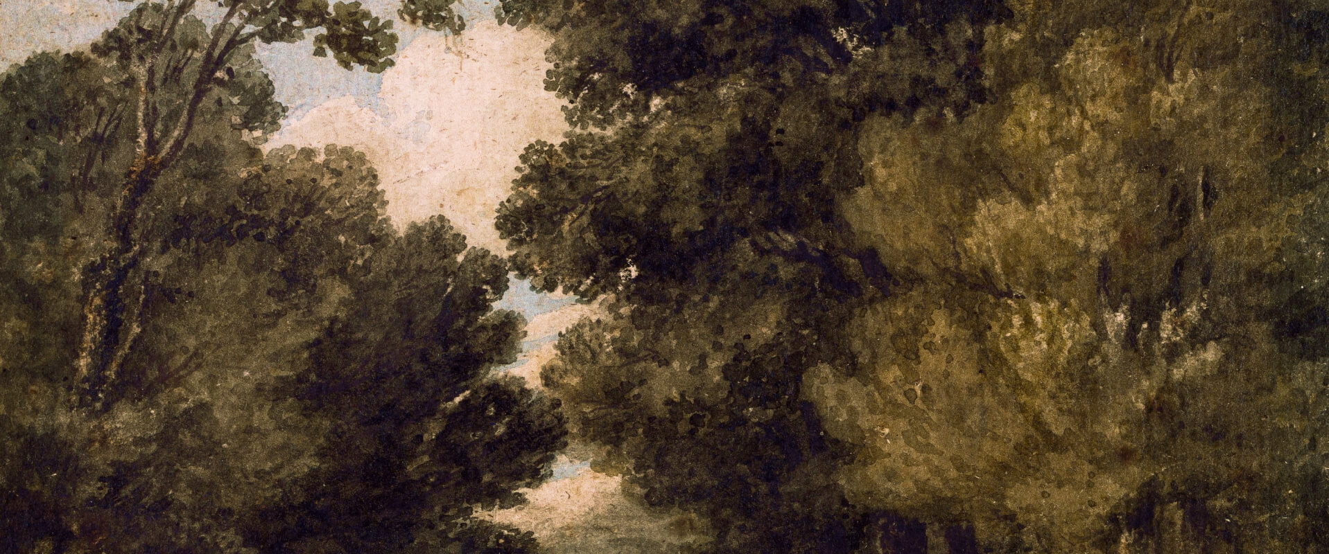 небо виднеется между деревьями